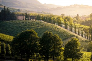 Castelvetro di Modena hills 