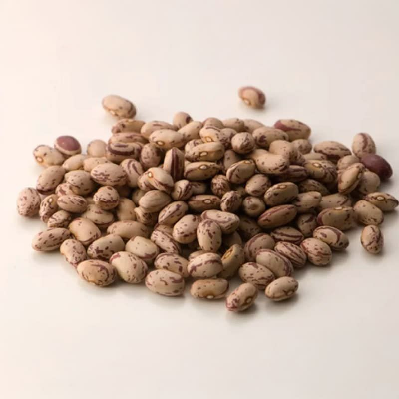 イタリア産 ボルロッティ うずら豆 Sapori di Norcia 500g