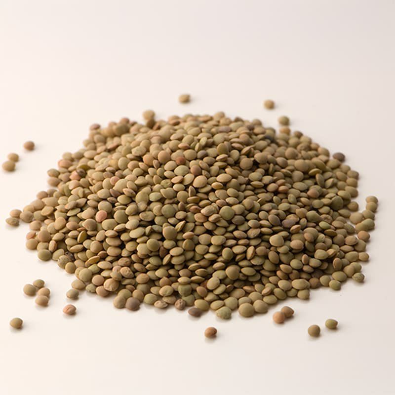 イタリア産 レンズ豆 Sapori di Norcia 500g
