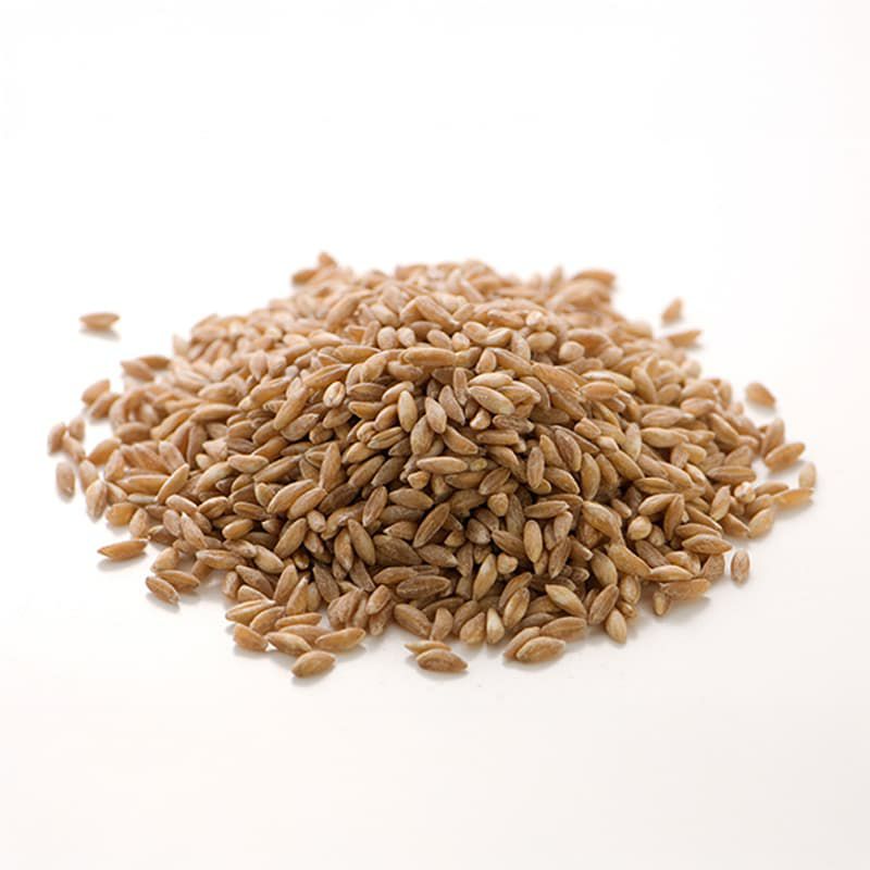 Cicchetti ファッロ（スペルト小麦／古代小麦）乾燥 500g